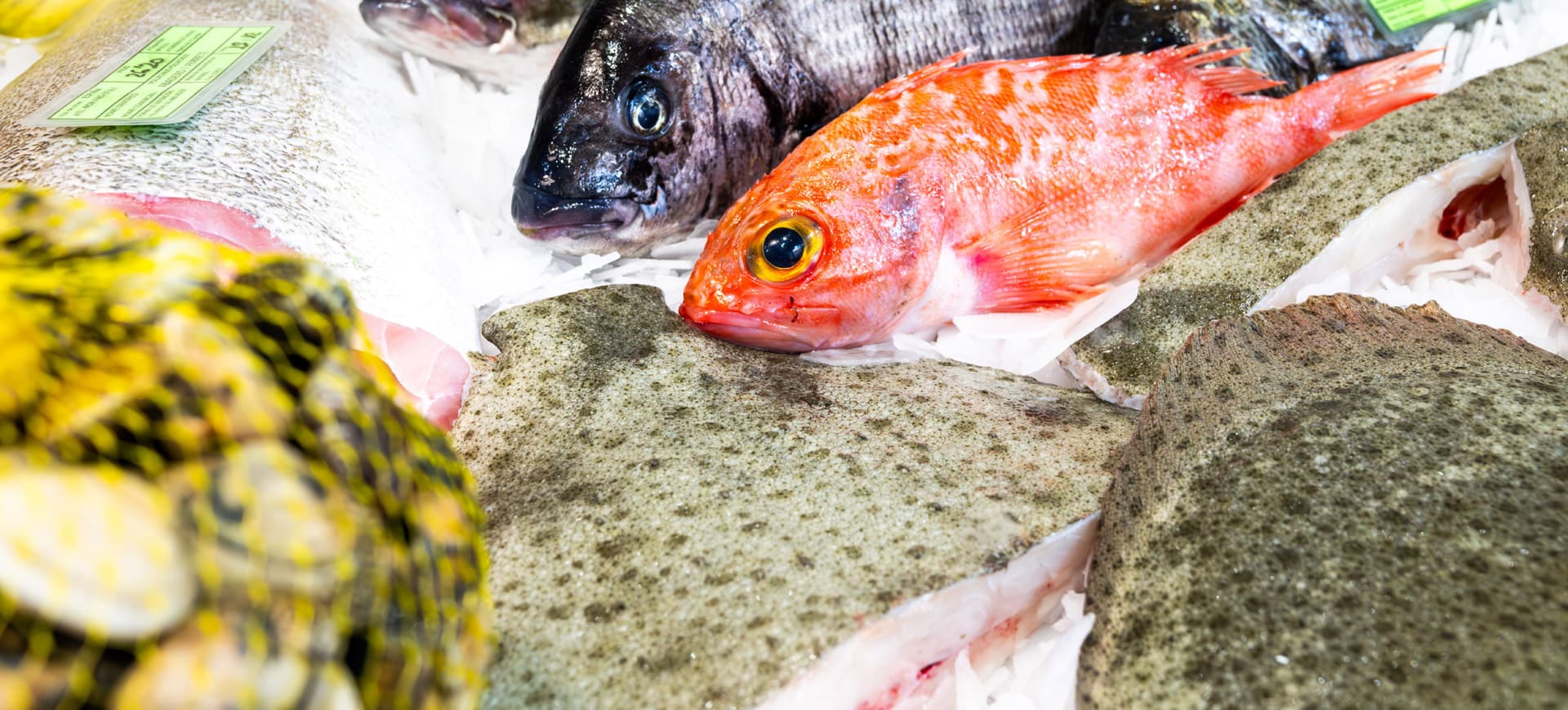 Ven a nuestra pescadería y disfruta de todo el sabor del mar